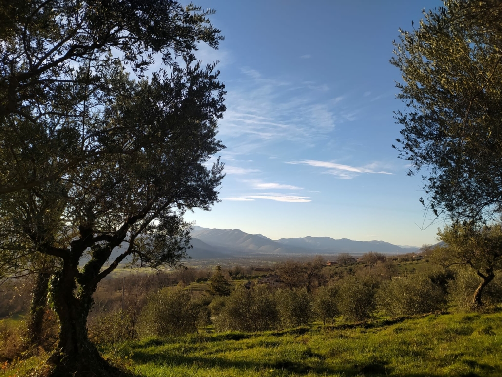 terreni